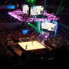 観戦記：WWE Live Japan （両国国技館）