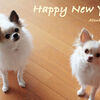 Happy New Year♪