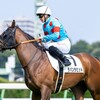 【一口馬主／ラパンラピッド】正念場の一戦！