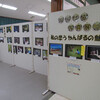 やんばる写真展2013開催！