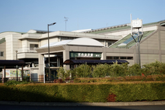 花小金井でのひとり暮らしは、自分と向き合う自由をくれた｜文・藤間紗花（ライター）