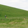 じょぼと一緒に小山登山。