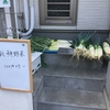 野菜の無人直販！