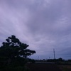 今日は・・・雨。