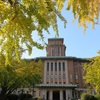 横浜日本大通りのイチョウ並木と神奈川県庁の景色！紅葉の見頃の時期と混雑具合