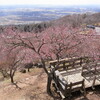 筑波山の梅など（５年前）