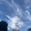 赤くあれほど賑やかだった山に近づく白い冬