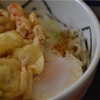 天ぷらうどん