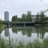 【写真】大阪さんぽ・桜ノ宮公園（夏）