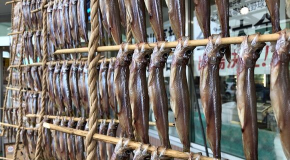 僕たちはまだ「本物のししゃも」を知らない 僕たちはまだ「本物のししゃも」を知らない