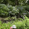 長居植物園　～その２