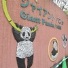 上野動物園　ジャイアントパンダのシャンシャン　撮影ＮＧ