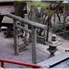 式内大社・天照大神高座神社写真館（８/１５）