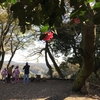 北鎌倉・瓜ヶ谷やぐら群〜縁結びの葛原岡神社神社(後編)