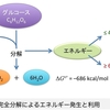 生ゴミ処理における油・米ぬか添加は発熱を促す？