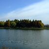小春日和の水元公園