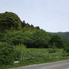 季節は流れて……初夏の風景に。