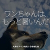 2430食目「ワンちゃんは、もっと暑いんだ」犬用のアイス発売！＠赤城乳業