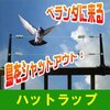 ベランダの鳩よけグッズ　ハットラップを試してみました