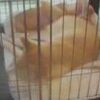 週末、だよ