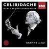 【至高のブラームス体験】チェリビダッケ指揮、ミュンヘン・フィルによる交響曲第2,3&4番を徹底レビュー