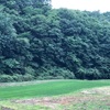 栃木県へお出かけ！！人生で初めてホタルを見ました。