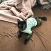 【第4弾】猫の洋服を紹介♡