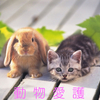 『動物を可愛がりましょう』 