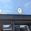 最近の小言いろいろ