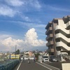 今日の一枚。