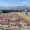 いなべ市農業公園(三重県いなべ市藤原町鼎717番地)