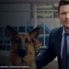 ハドソン＆レックス〜セントジョンズ警察シェパード犬刑事〜Hudson&Rex☆S3-5