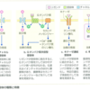 第２章　薬理学の基礎知識