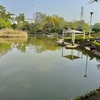 さぎ山記念公園の池（埼玉県浦和）