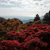 丹沢・大山　紅葉を楽しむのんびり登山