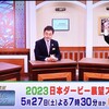 2023年大沼Ｓの調教プロファイル［KEIBAコンシェルジュ編］