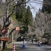 県立森林公園に春を訪ねて