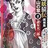 西遊妖猿伝 西域篇 火焔山の章　第2巻