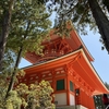 鼓動を感じました 『天空の聖地・高野山！』（後編）