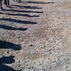 ーＯＯＯ-歩いたのでは届かない … 神戸マラソン2012参加記（3/4）