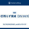 一匹残らず撲滅【25/10/5】
