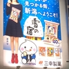 幻の女