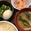 【すき家】鮭のっけ朝食