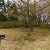 多気山頂上～多気山に登りました（栃木県宇都宮市）③