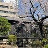 「知られざる東京近郊の歴史探訪」最終日　３月３１日（水）