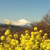 吾妻山公園