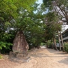 山行記　右田ヶ岳　天徳寺ルート→塚原ルート