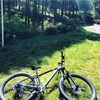初のMTB。TREK Roscoe7を少しだけファーストインプレッション