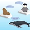 海の哺乳類とその進化