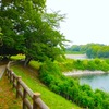  実走！名古屋RUNコース vol.59「知多市・佐布里池」。